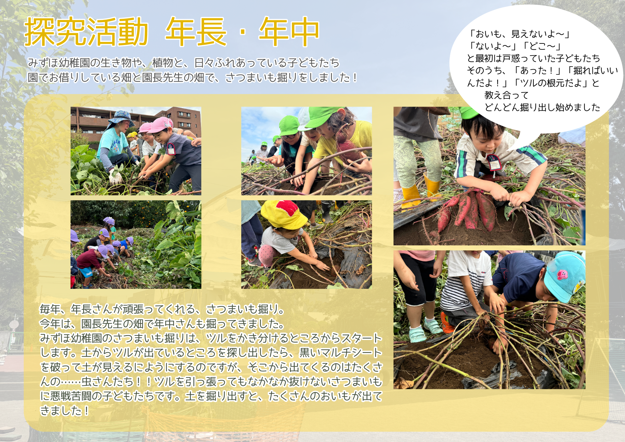 10月の年長さん・年中さん　探究活動